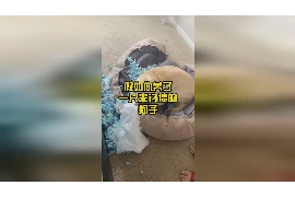 说什么话要账，高效沟通技巧解析