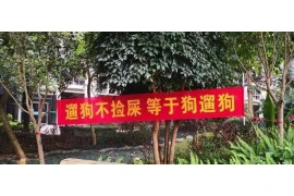 银行委托多少催收公司：揭秘银行催收背后的秘密