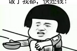 优雅要账图片，提升收款效率的艺术