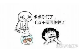 寿光小营要账，揭秘农业金融难题下的创新解决方案