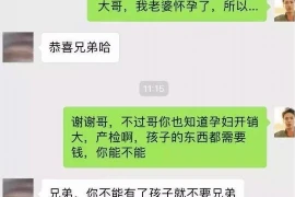 方舟要不要账号登录，深度解析游戏体验与安全性的平衡