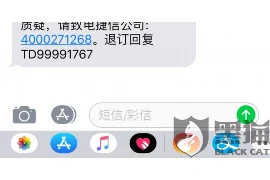 新手会计要账本,入门指南与实操技巧 新手会计要账本,入门指南与实操技巧