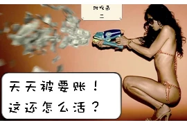 光纤插上光猫要账号密码吗？详解光纤网络接入流程