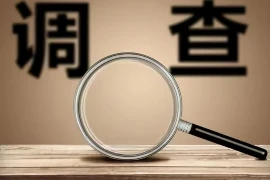 杨向东要账全集，揭秘债务催收的艺术与策略