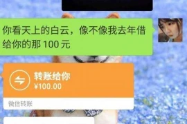 委托要账的承诺书,企业债务追收的法律保障 委托要账的承诺书,企业债务追收的法律保障