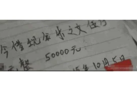骑驴要账的故事视频,揭示诚信与智慧的魅力 骑驴要账的故事视频,揭示诚信与智慧的魅力