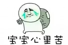 武汉要账公司那家好？揭秘武汉地区优质要账服务提供商