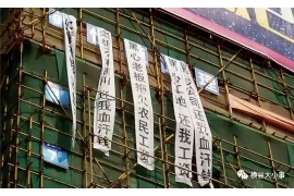 陈寒柏杨仪要账：一场关于债务与信任的较量