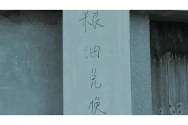 锤子替张健要账：一场法律维权的真实故事