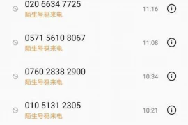 重要账册遗失的后果