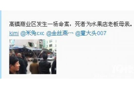 追讨债务的官司纠纷：法律视角下的维权之路