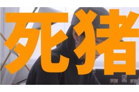 闪银奇异催收北京商报：揭秘金融科技催收新趋势