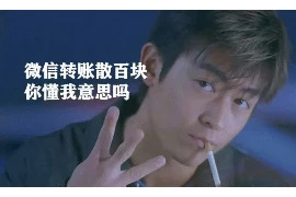 范德彪要账集锦，揭秘民间借贷中的经典案例